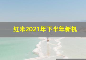 红米2021年下半年新机