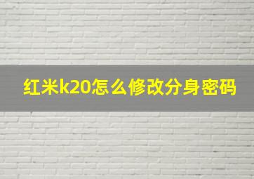 红米k20怎么修改分身密码