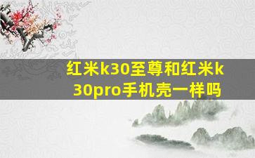 红米k30至尊和红米k30pro手机壳一样吗