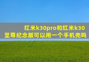 红米k30pro和红米k30至尊纪念版可以用一个手机壳吗