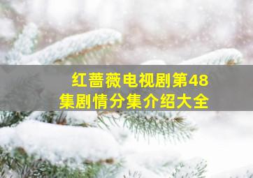 红蔷薇电视剧第48集剧情分集介绍大全