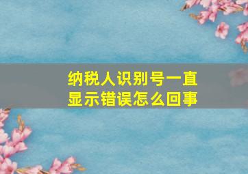 纳税人识别号一直显示错误怎么回事