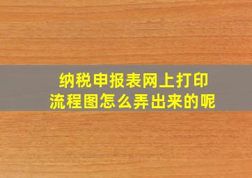 纳税申报表网上打印流程图怎么弄出来的呢