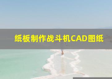 纸板制作战斗机CAD图纸