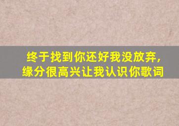 终于找到你还好我没放弃,缘分很高兴让我认识你歌词