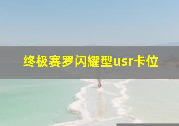 终极赛罗闪耀型usr卡位