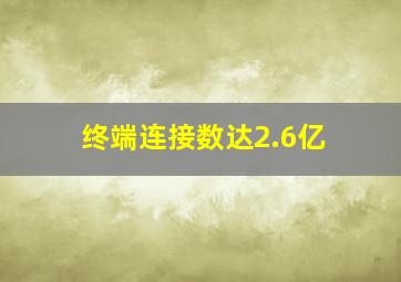 终端连接数达2.6亿