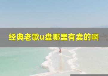 经典老歌u盘哪里有卖的啊