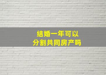 结婚一年可以分割共同房产吗