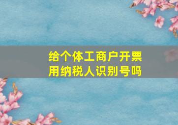 给个体工商户开票用纳税人识别号吗