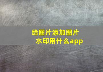 给图片添加图片水印用什么app