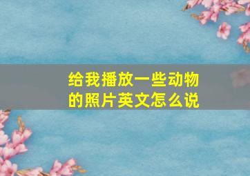 给我播放一些动物的照片英文怎么说