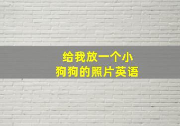 给我放一个小狗狗的照片英语