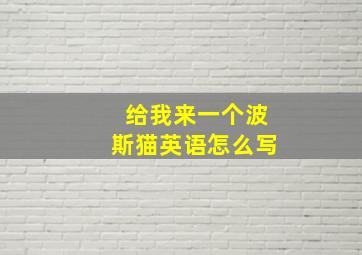 给我来一个波斯猫英语怎么写