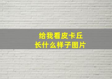 给我看皮卡丘长什么样子图片