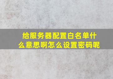 给服务器配置白名单什么意思啊怎么设置密码呢