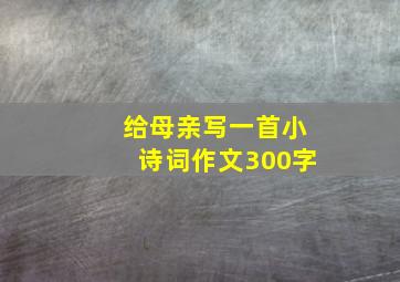 给母亲写一首小诗词作文300字