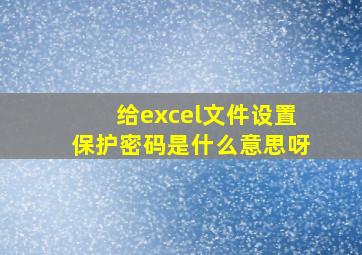 给excel文件设置保护密码是什么意思呀