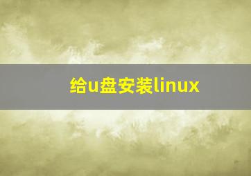 给u盘安装linux