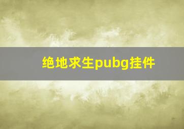 绝地求生pubg挂件