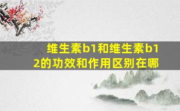 维生素b1和维生素b12的功效和作用区别在哪