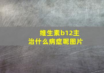 维生素b12主治什么病症呢图片