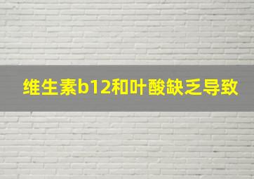 维生素b12和叶酸缺乏导致