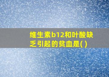 维生素b12和叶酸缺乏引起的贫血是( )