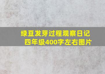 绿豆发芽过程观察日记四年级400字左右图片