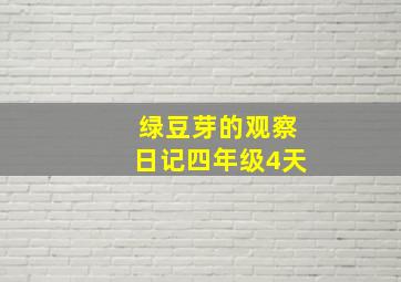 绿豆芽的观察日记四年级4天