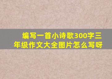 编写一首小诗歌300字三年级作文大全图片怎么写呀