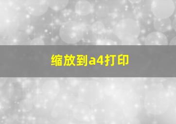 缩放到a4打印