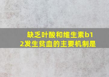 缺乏叶酸和维生素b12发生贫血的主要机制是