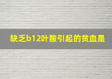 缺乏b12叶酸引起的贫血是