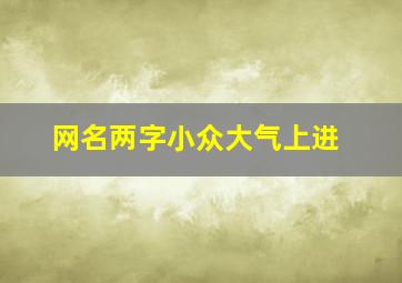 网名两字小众大气上进