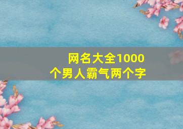 网名大全1000个男人霸气两个字