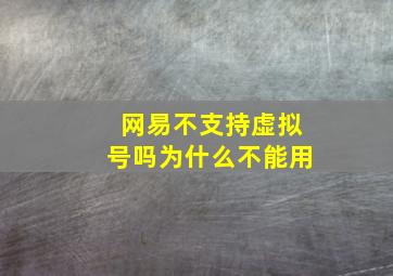 网易不支持虚拟号吗为什么不能用