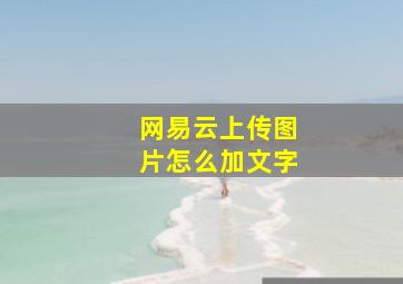 网易云上传图片怎么加文字