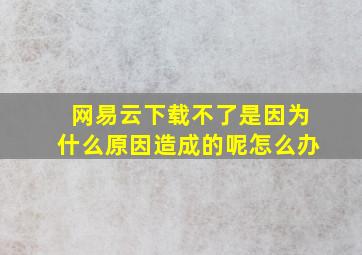 网易云下载不了是因为什么原因造成的呢怎么办