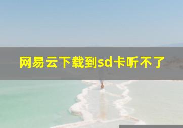 网易云下载到sd卡听不了