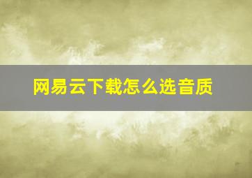 网易云下载怎么选音质