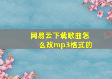 网易云下载歌曲怎么改mp3格式的