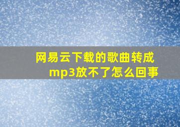 网易云下载的歌曲转成mp3放不了怎么回事