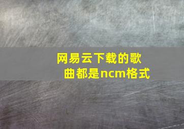 网易云下载的歌曲都是ncm格式