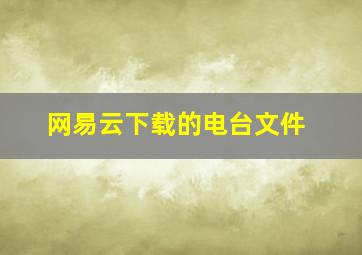 网易云下载的电台文件