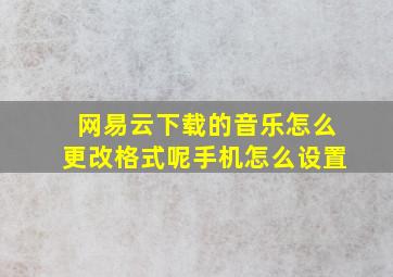 网易云下载的音乐怎么更改格式呢手机怎么设置