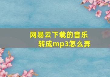 网易云下载的音乐转成mp3怎么弄