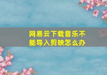 网易云下载音乐不能导入剪映怎么办