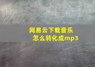 网易云下载音乐怎么转化成mp3