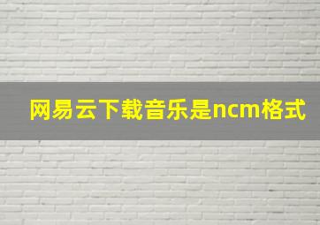 网易云下载音乐是ncm格式